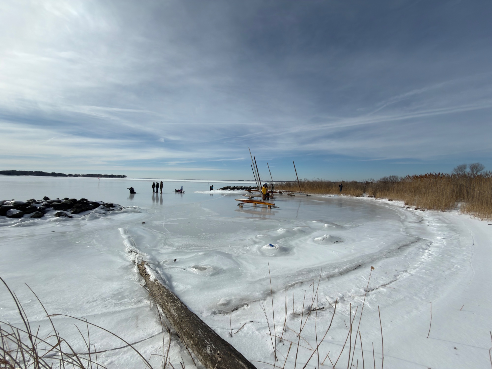 Ice boats rigged and ready at Claiborne with reeds and frozen Bay in background